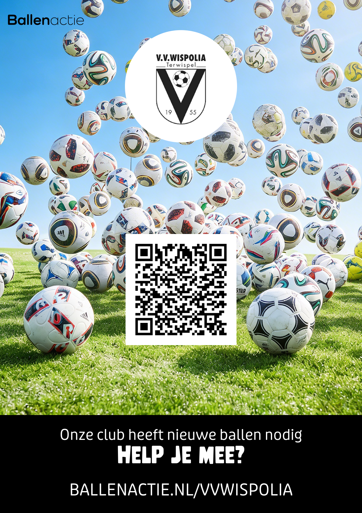 Doneer een bal (Ballenactie)